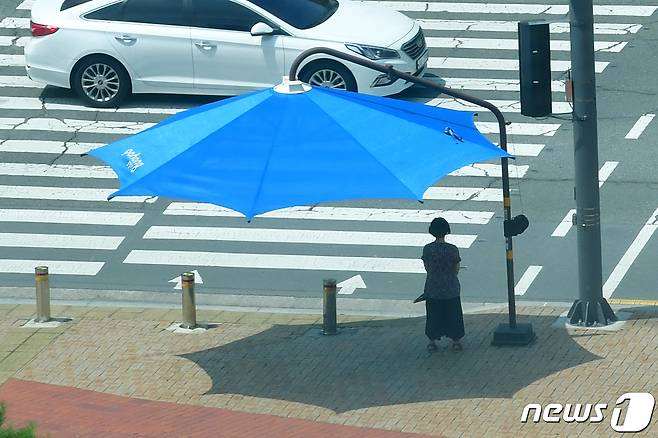 (포항=뉴스1) 최창호 기자 = 경북 포항시가 폭염으로부터 시민들의 안전을 지키기 위해 오는 9월 30일까지 폭염 종합대책을 추진 중에 있다고 밝혔다. 포항시청 앞 횡단보도 앞에 설치된 그늘막에서 시민이 햇볕을 피하고 있다.2023.7.10/뉴스1 최창호 기자