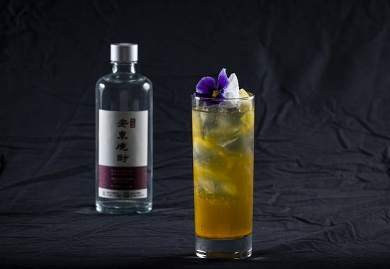 사진 최영재 기자