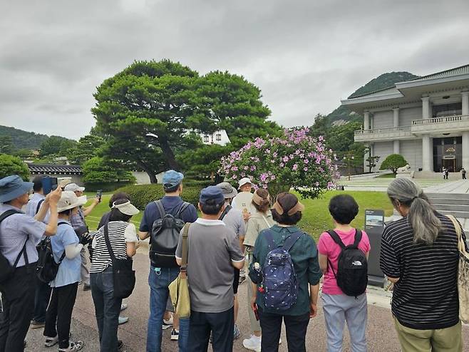 [서울=뉴시스]김대중 대통령 기념식수인 무궁화 앞에서 특별해설이 진행되고 있다. (사진=문화체육관광부 제공) 2023.07.10. photo@newsis.com  *재판매 및 DB 금지