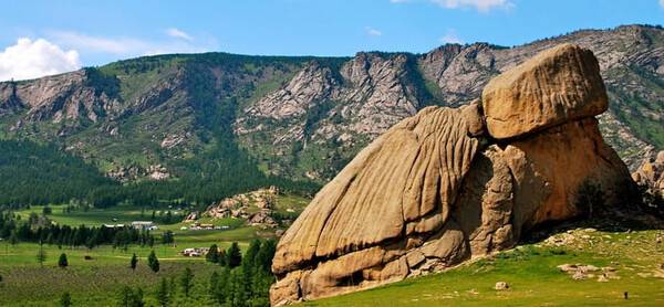 온라인 커뮤니티