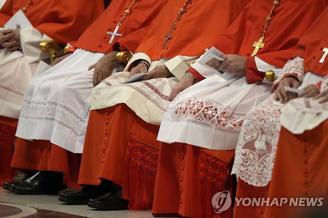 추기경단  [AP 연합뉴스 자료사진. 재판매 및 DB 금지]