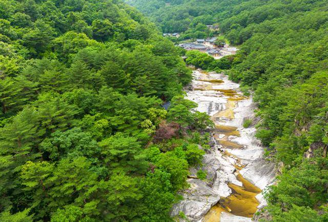 짙푸른 숲에 둘러싸인 동해 무릉계곡의 무릉반석과 삼화사. 한국관광공사 제공