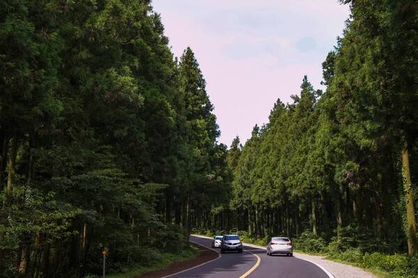 티스토리블로그 'seanshineblog'