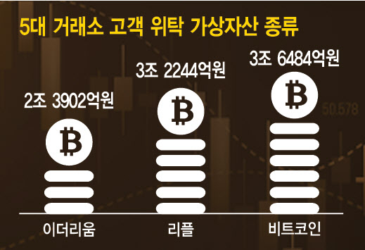 5대 가상자산거래소(업비트·빗썸·코빗·코인원·고팍스)에 위탁된 고객의 자산자산이 작년 말 기준으로 18조3607억원에 달한다. 주요 보유자산은 비트코인, 리플, 이더리움 순이다. (그래픽=이미나 기자, 자료=금융위원회·금융감독원)