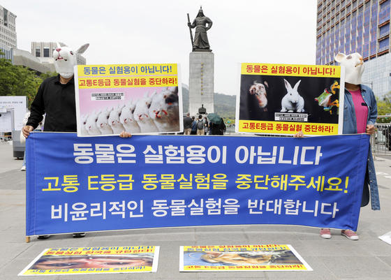 세계 실험동물의 날인 지난 4월 24일 한국동물보호연합 활동가들이 서울 종로구 광화문광장에서 동물실험 중단 촉구 기자회견을 열었다. 뉴스1