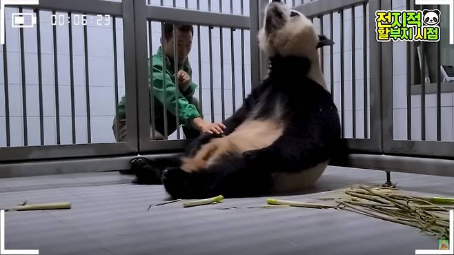 [유튜브 채널 ‘말하는 동물원 뿌빠TV’]