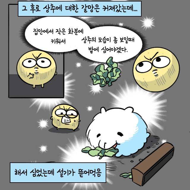 감자 작가 인스타툰. 감자 작가 제공