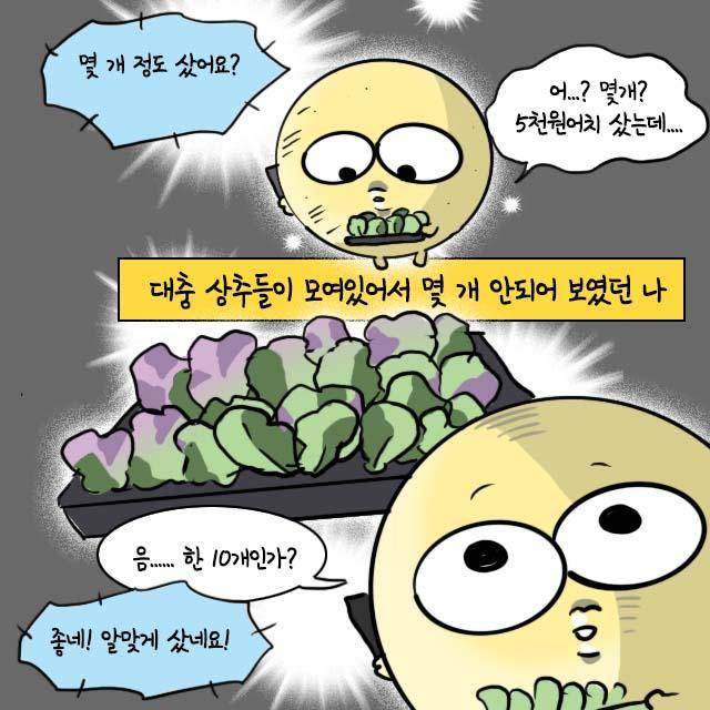 감자 작가 인스타툰. 감자 작가 제공