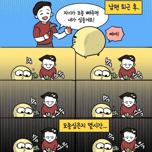 감자 작가 인스타툰 감자 작가 제공