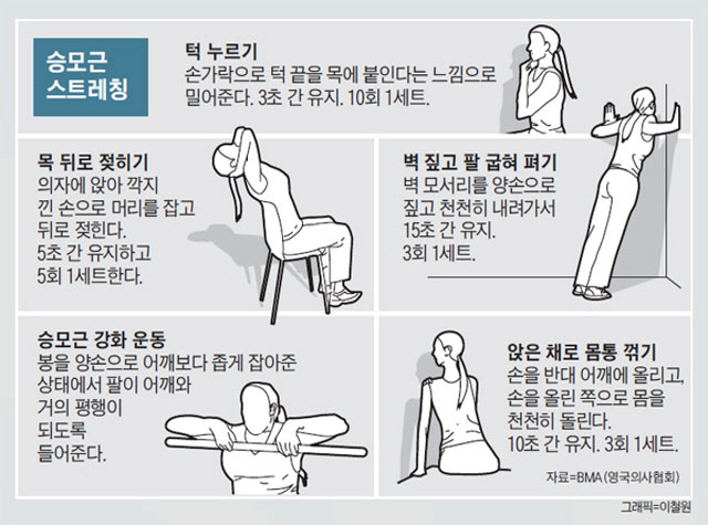 승모근, 광배근에 자극을 주는 스트레칭이 라운드숄더 완화에 도움이 된다.​/사진=헬스조선DB