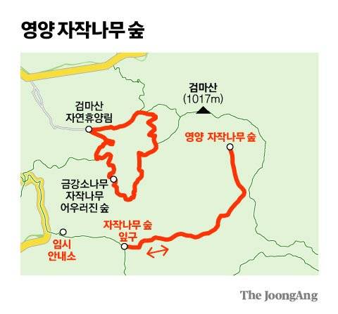 김영희 디자이너