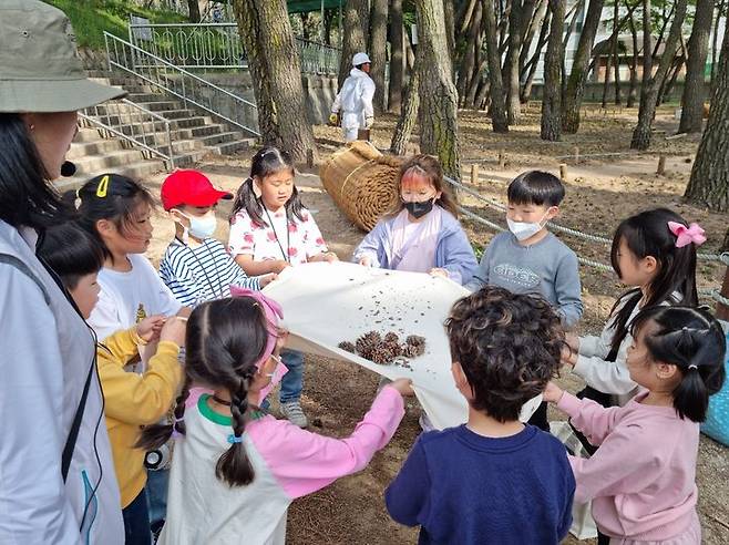 밀양형 아이키움 배움터 수강생이 삼문동 솔숲에서 체험활동을 하고 있다. (사진=밀양시 제공) *재판매 및 DB 금지