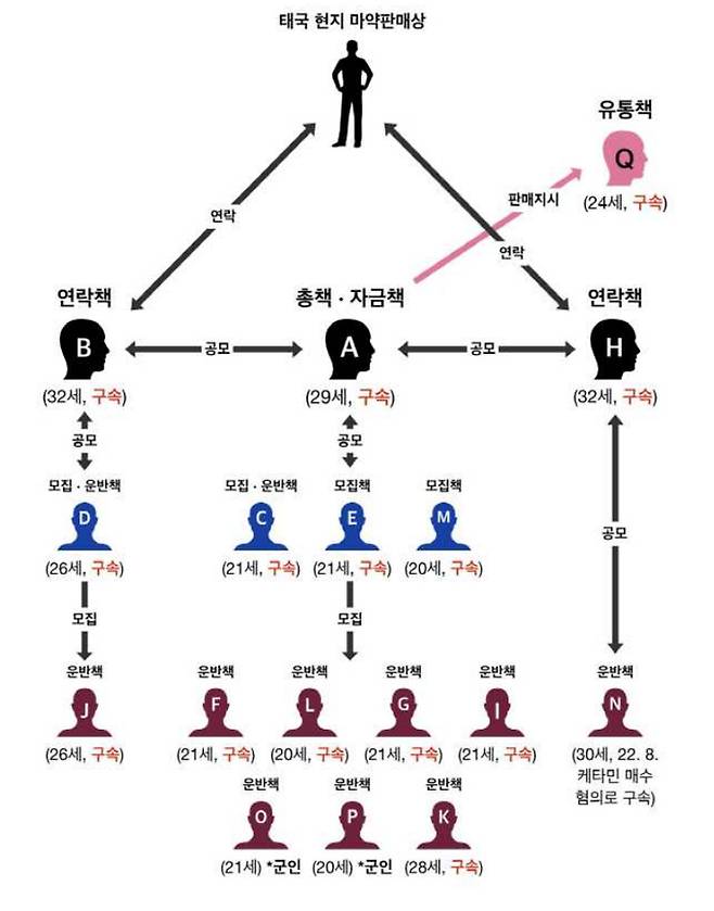 20~30대 케타민 밀수조직의 조직도 및 주요 역할. 서울중앙지검 제공