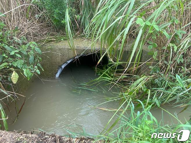 16일 오후 4시쯤 전남 해남군 현산면 한 농로에서 40대 남성이 농수로에 빠져 소방당국이 의해 구조됐다. 사진은 해당 농수로.(전남소방본부 제공)2023.7.16/뉴스1