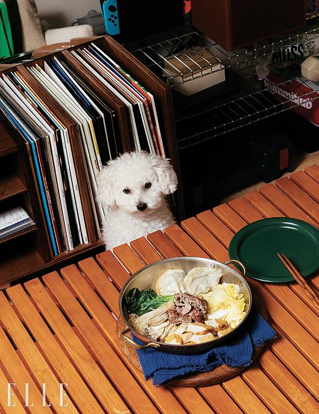 양배추찜과 뭉이.