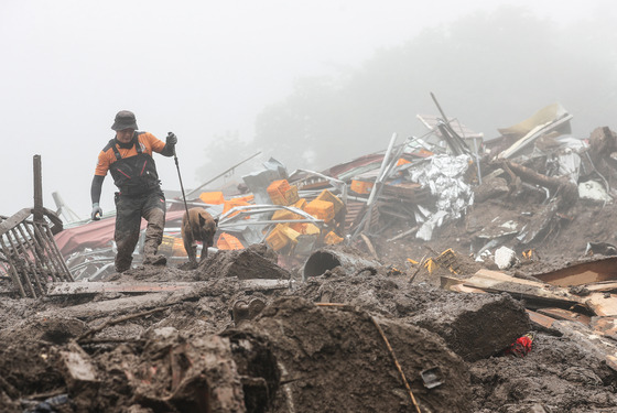 An emergency responder and a rescue dog on Sunday search through the rubble in Yecheon, North Gyeongsang, after being devastated by a landslide the day before. The death toll announced by the government in North Gyeongsang was 19, the largest number of people that died over the weekend. [YONHAP]