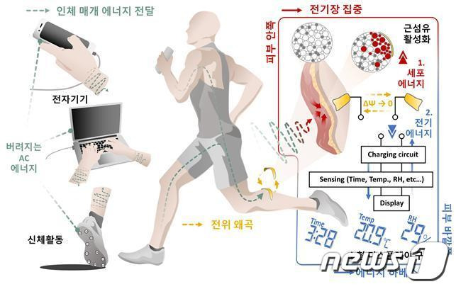 인체 매개 에너지 전달을 통한 세포·전기 에너지의 동기식 생성 개요.(중앙대 제공)/뉴스1