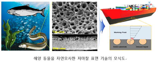 포스텍 제공