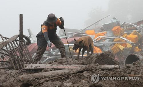 '반드시 찾는다' [윤관식 기자]