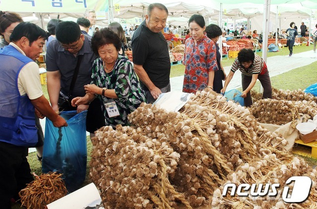 충북 단양군 마늘축제 모습. (단양군 제공) /뉴스1