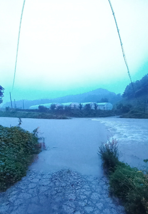 울산시 울주군 온양읍 남창천. 울산소방본부 제공