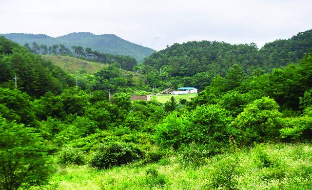 재치산 기슭 석회암 지층이 내려앉아 형성된 돌리네 지역에 고마루 마을이 자리하고 있다.