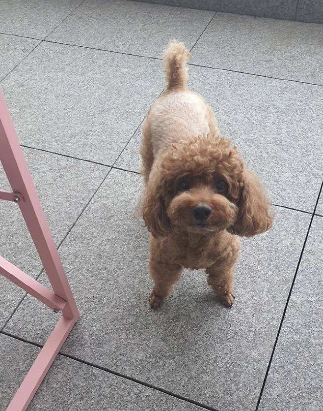 On the 20th, SBS Power FM Hwa-Jeong Chois Power Time official account says, When I go home after work these days, I am very happy to drink two pizzas made with our wheat tortillas and a glass of non-alcoholic beer.# Not a cafe, my sister Terrace # Not delivery, but a handmade handmade # Its been a long time since Lee Juns # Hwa-Jeong Chois power time was posted.Hwa-Jeong Choi is relaxing with his own pizza on the terrace. Hwa-Jeong Chois appearance in the colorful furniture and accessories is the picture itself.Meanwhile, Hwa-Jeong Choi is in charge of Hwa-Jeong Chois Power Time.