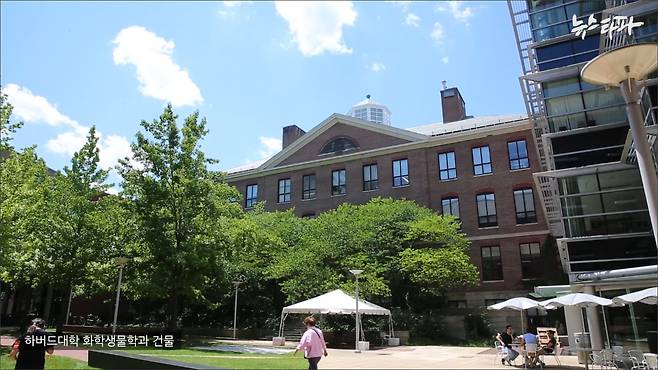 ▲&nbsp; 하버드대학 화학생물학과 건물