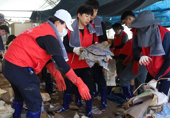 21일 오전 수해를 입은 청주시 오송읍 호계리 토마토 농장에서 LG에너지솔루션 오창 에너지플랜트 임직원 80여 명이 수해 복구 봉사활동을 진행하고 있다. LG에너지솔루션 제공