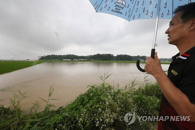 폭우로 잠긴 논 바라보는 농민 지난 16일 오전 사흘째 많은 비가 내리고 있는 충남 논산시 성동면 원봉리 논밭이 물에 잠겨 있는 모습을 한 주민이 바라보고 있다.[연합뉴스 자료사진]