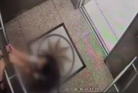 A양이 지난달 30일 엘리베이터에서 두통을 호소하며 주저 앉는 모습이 담긴 학교 내 엘리베이터 폐쇄회로(CC)TV 화면. 자료 KBS뉴스 캡처