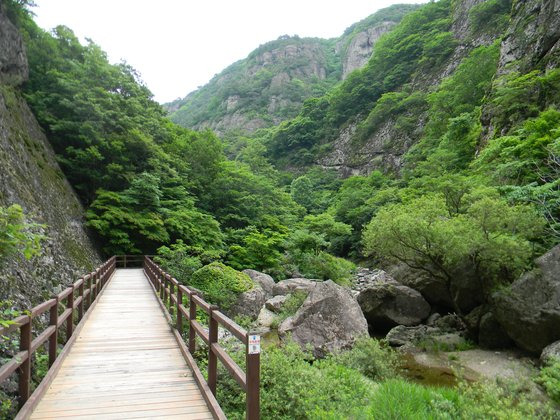 경북 청송군 대표 관광지인 주왕산 모습. [사진국립공원공단]