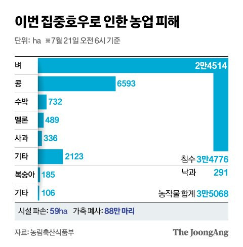 신재민 기자