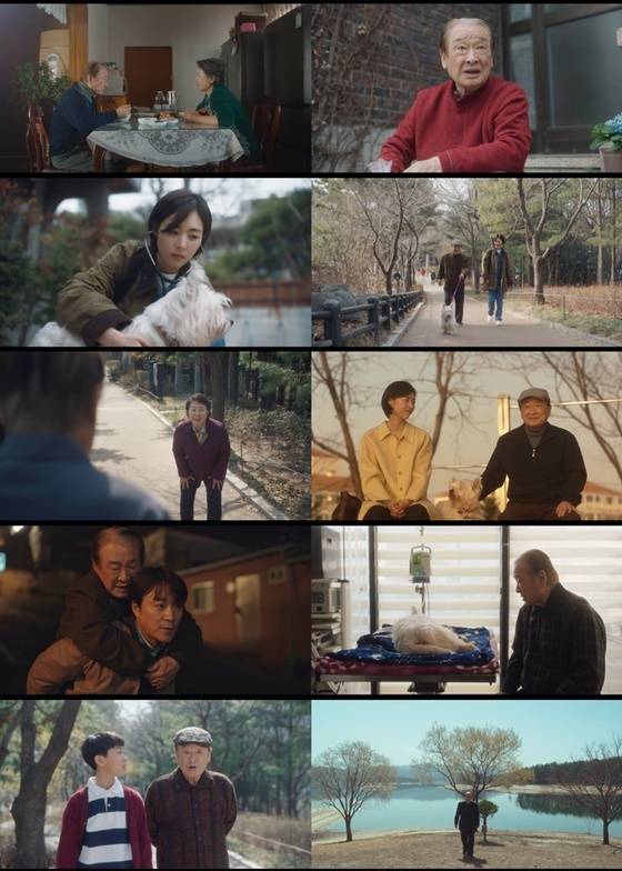/사진=tvN