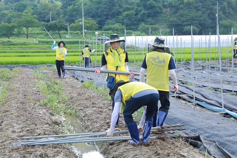 한국산업단지공단 이상훈 이사장과 임직원 30명이 25일 경북 예천군 용궁면 호우피해 현장을 찾아 복구활동을 하고 있다. [산단공 제공]