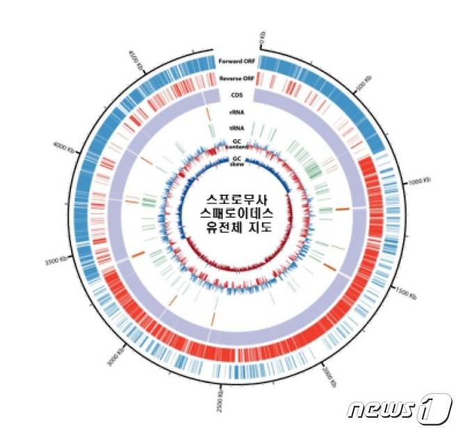 자생 아세토젠 미생물(스포로무사 스패로이데스) 유전체 지도(환경부 제공) ⓒ 뉴스1