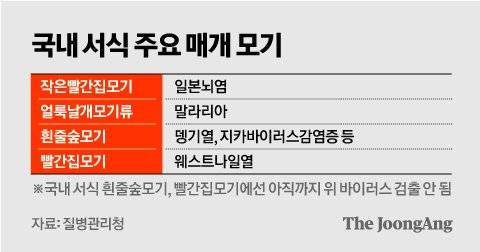 김영옥 기자
