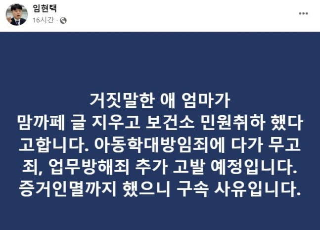 임현택 대한소아청소년과의사회 회장 페이스북