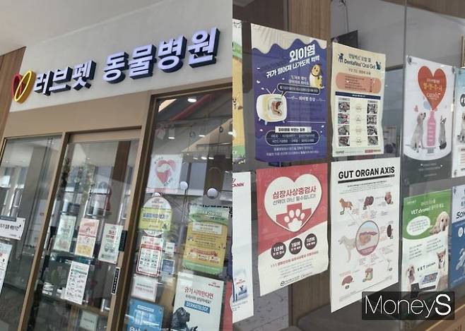 러브펫동물병원&멀티펫샵 대표원장인 최인영 수의사에게 강아지와 고양이의 양육 난이도에 대해 물어봤다. /사진=영등포 타임스퀘어에 위치한 '러브캣동물병원' 외관 모습