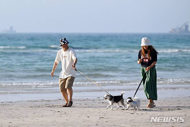 [제주=뉴시스] 시민들과 반려견이 협재 해수욕장에서 산책을 하고 있다. (사진=뉴시스 DB). photo@newsis.com