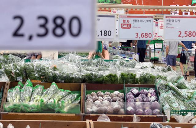 집중호우로 상추 등 채소류 도매가격이 오르면서 장바구니 물가에도 영향을 미치고 있다. 23일 서울의 한 대형마트. 뉴시스