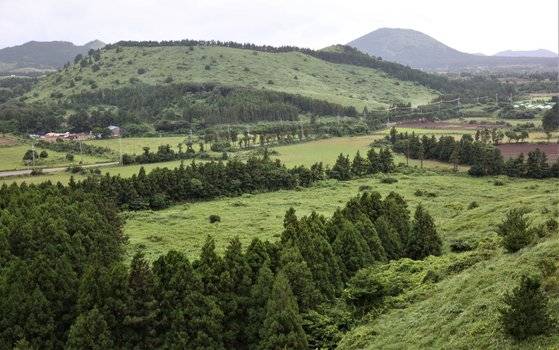 용눈이오름 능선에서 바라본 손자봉.