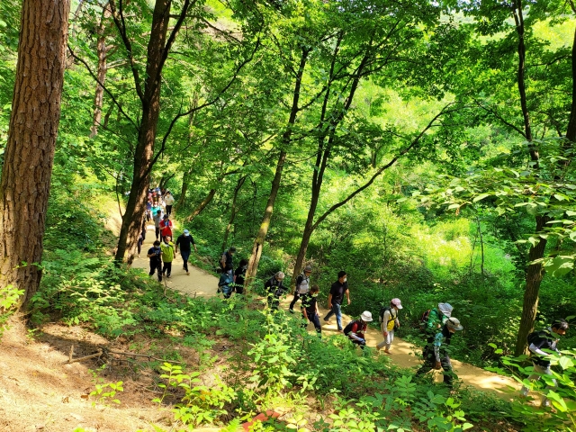 도보여행자들이 강원도 원주 운곡 솔바람 숲길을 맨발로 걷고 있다. 원주시 제공