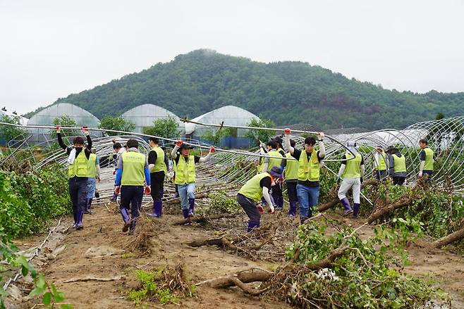 [안동=뉴시스] 경북교육청 직원들이 27일 예천군 용궁면 수해현장에서 복구지원을 하고 있다. (사진=경북교육청 제공) 2023.07.27 *재판매 및 DB 금지