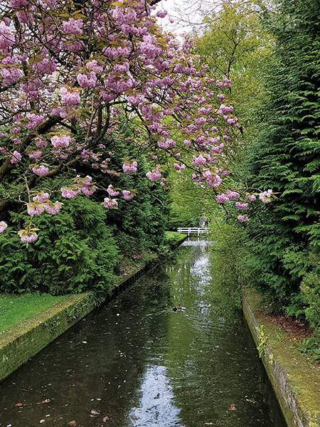 다양한 종류의 튤립은 물론, 마치 빈티지 가구를 발견한 듯 신비로움을 선사하는 컬러감의 꽃까지 만날 수 있다.