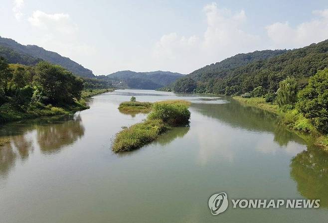 대전 유등천 [연합뉴스 자료사진]