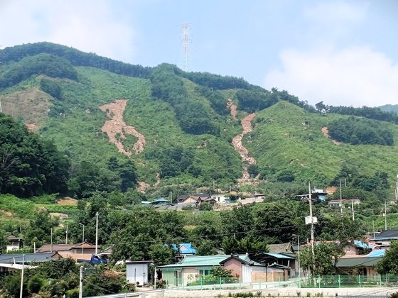 이수곤 전 서울시립대 교수가 촬영한 경북 예천의 산사태 현장. 이수곤 전 교수