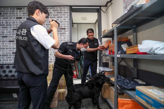관세청 소속 마약류 탐지견 ‘브루스’가 지난 13일 육군 모 부대를 불시 방문해 택배 보관실을 돌며 탐지 활동을 하고 있다. 연합뉴스