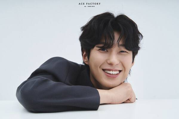 /사진=에이스 팩토리