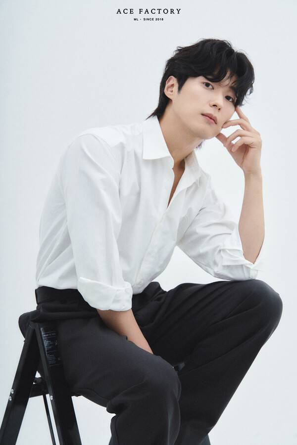 /사진=에이스 팩토리